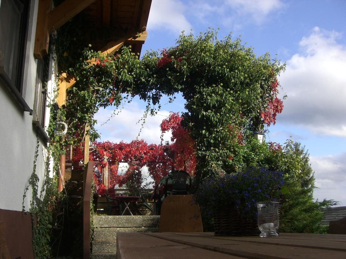 Hotel Dachsberger-Hof Wittenschwand Εξωτερικό φωτογραφία